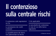 Il contenzioso sulla centrale rischi